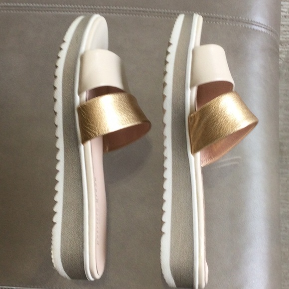 Patricia Green slides - Picture 3 of 5